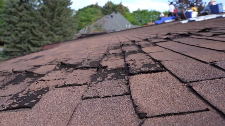 Best Rubber Roofing (EPDM, TPO)  in Whidbey Island Station, WA