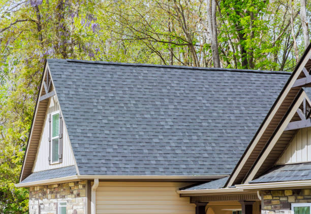 Best Solar Panel Roofing Installation  in Whidbey Island Station, WA